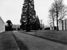 View from Marshall Hall arch up to President Hall.